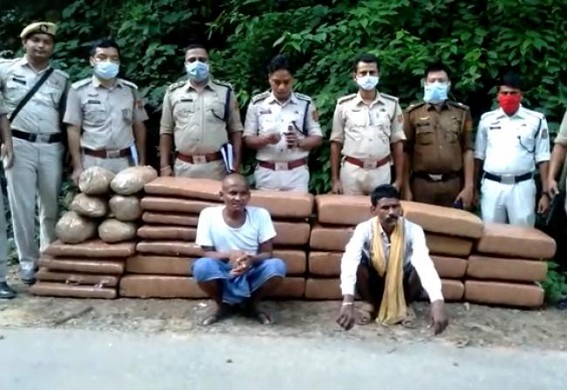 2 Arrested with 350 Kg Ganja in Teliamura 2 Arrested with 350 Kg Ganja in Teliamura